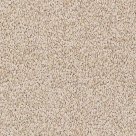 Sandy Shore carpet swatch